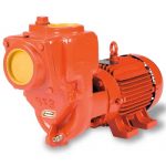 Equipo Riego Autocebante 10HP. | AC3ME1000