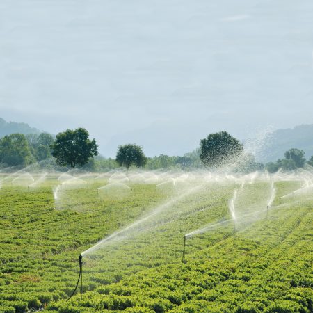 Pozo Profundo 25 GPM | SD425ME100G3 - Imagen 4