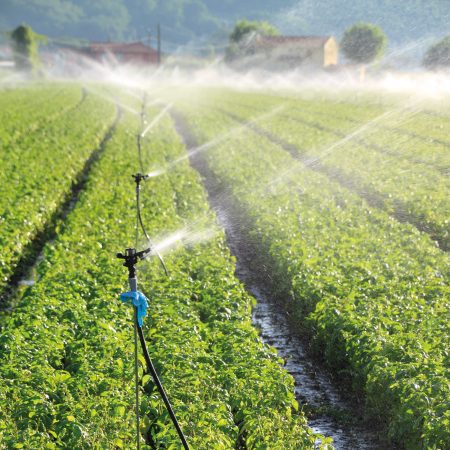 Pozo Profundo 25 GPM | SD425ME500G3 - Imagen 4