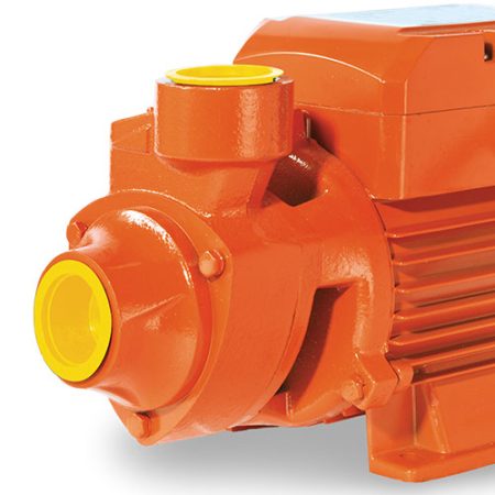 Bomba Periférica 1 HP | BP1ME100 - Imagen 3