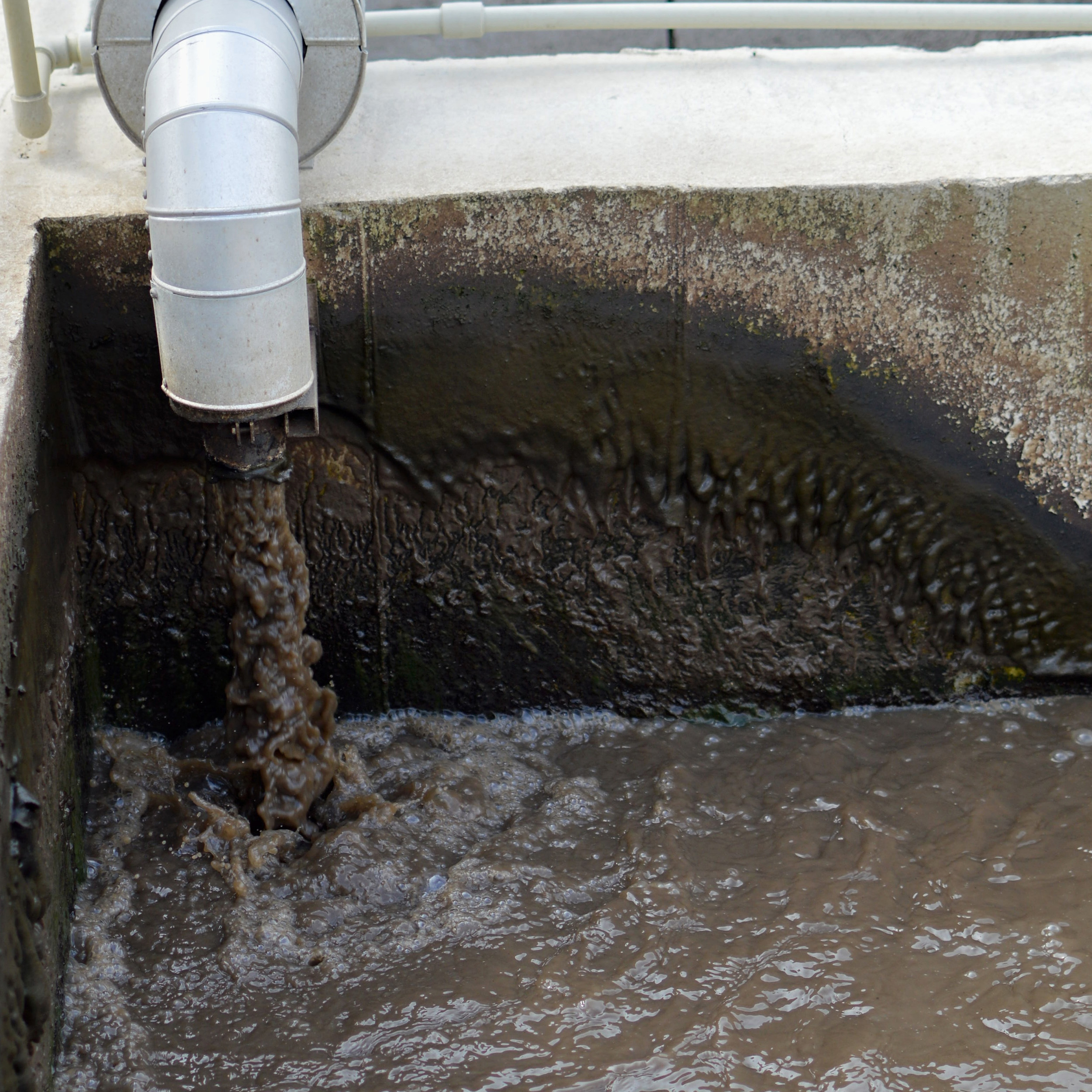 Bomba para agua residual 1 Hp | BSAR2ME100F-F - Imagen 4