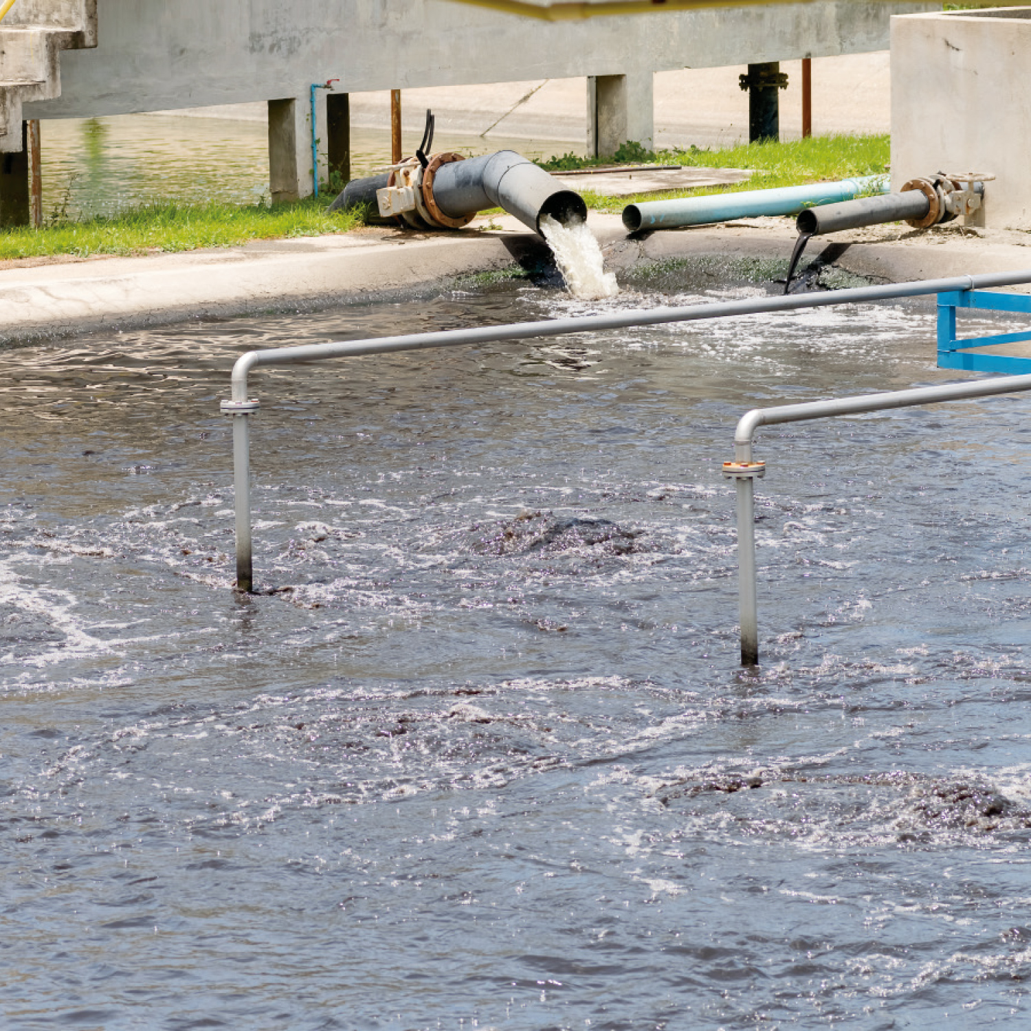 Bomba Para Lodos 3hp - Imagen 3