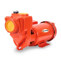 Bomba semi-profesional 3 HP